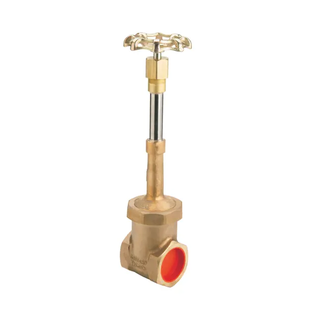 product image of a gate valve bronze