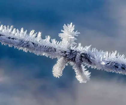 image of a wire with ice