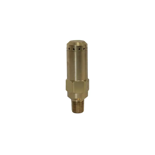 Image of noise reducing relief valve