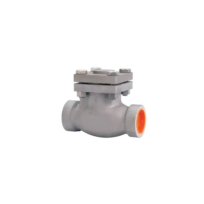 SS swing check valve for cryogenic gas