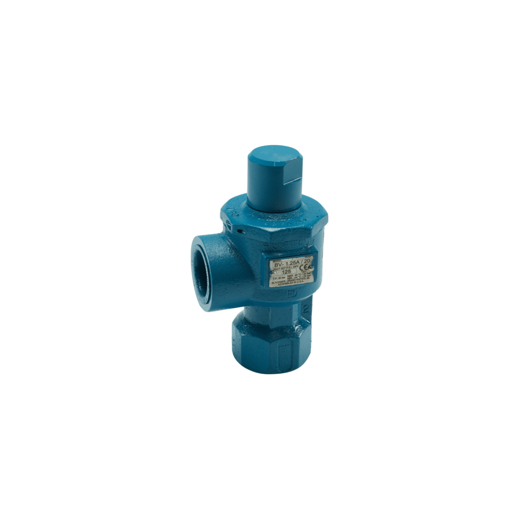 Picture of bypass valve