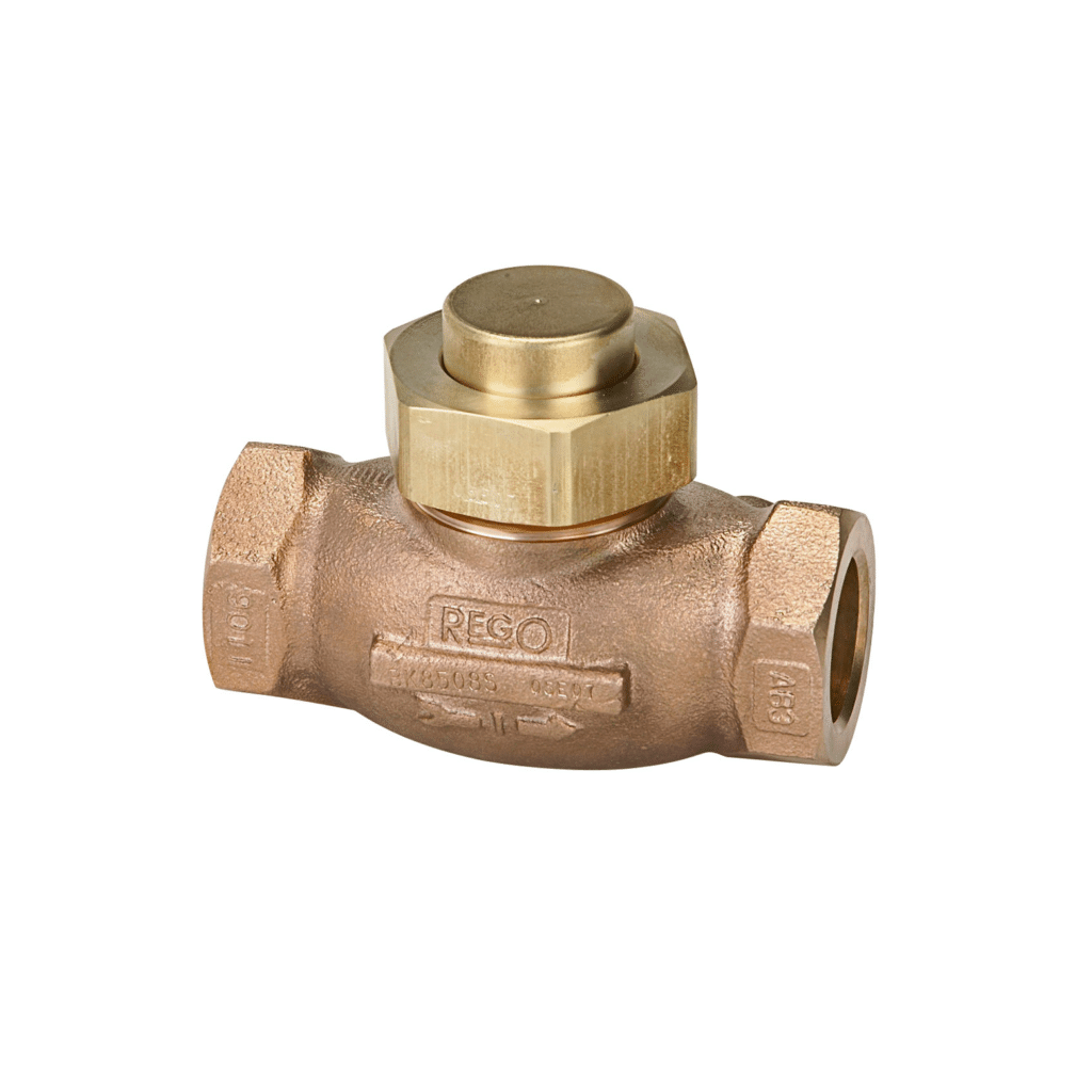 image plunger check valve