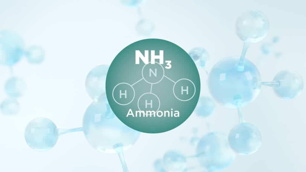image of NH3 molecules