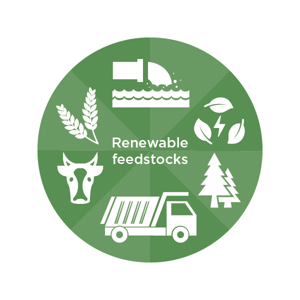 A graphical image of renewable feedstocks