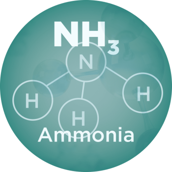 graphic showing an NH molecule